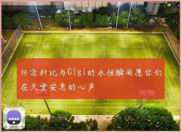 怀念科比与Gigi的永恒瞬间愿你们在天堂安息的心声